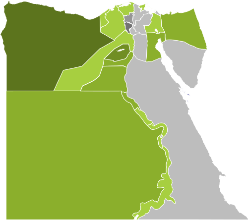 2012 Egyptian presidential election